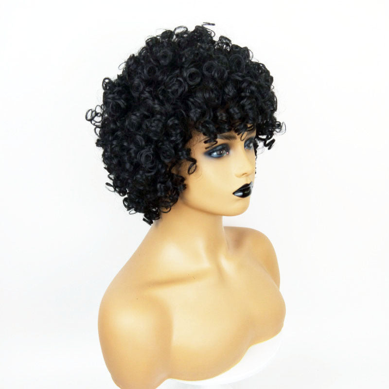 Women’s Curly Afro Hair