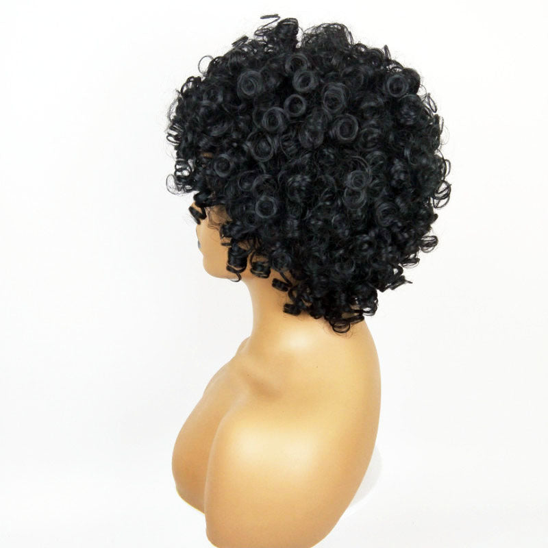 Women’s Curly Afro Hair
