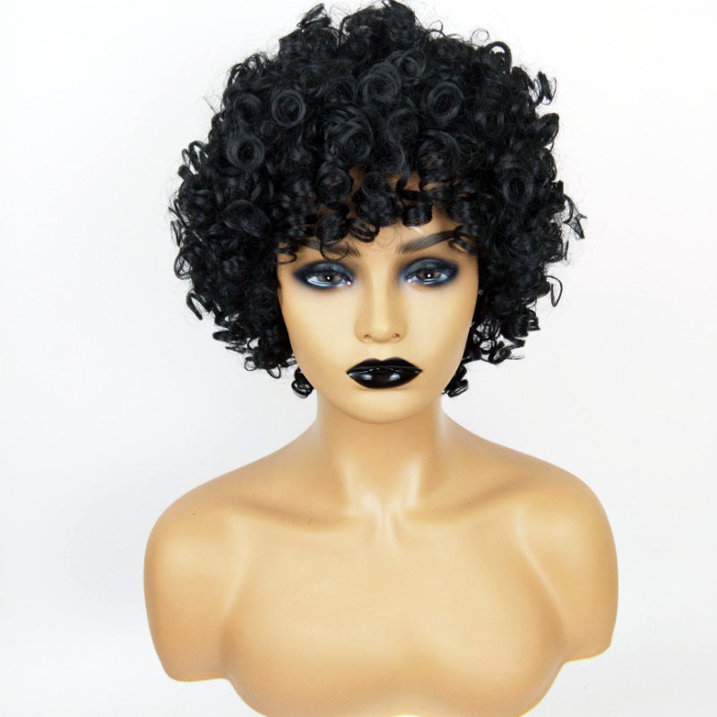Women’s Curly Afro Hair
